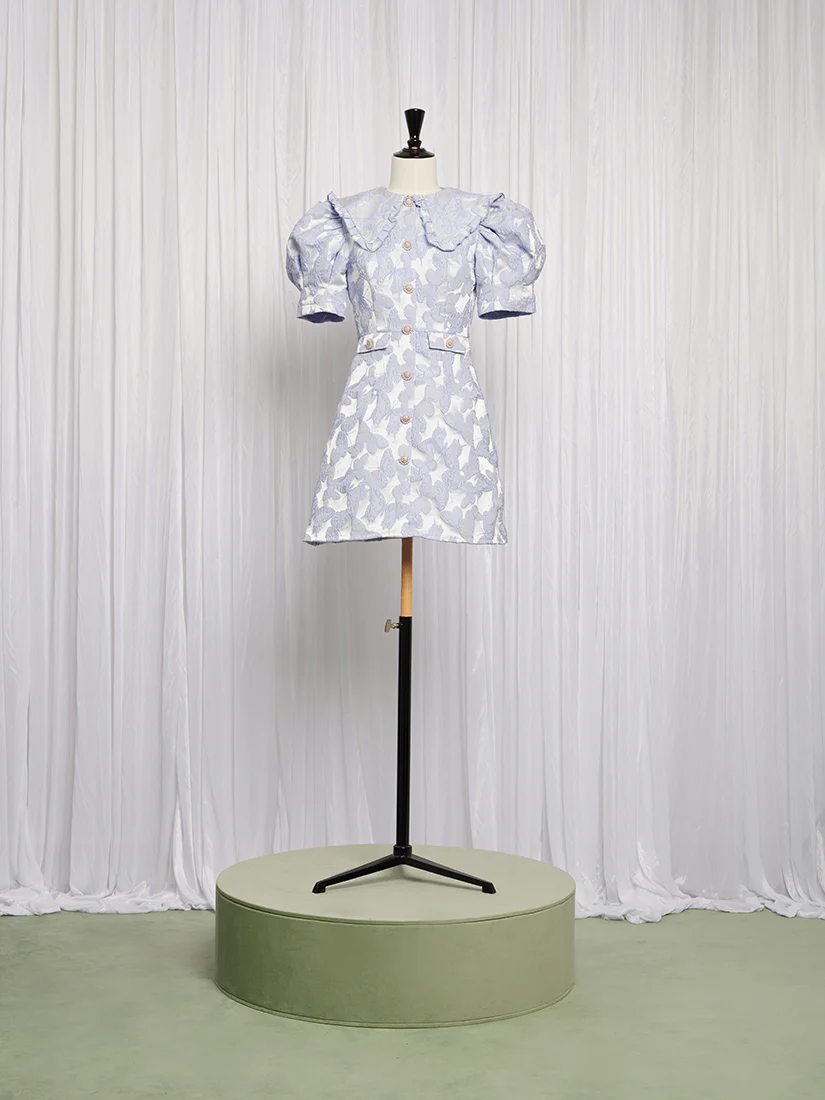 Lacewing Mini Dress - Image 4