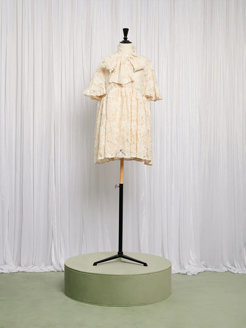 Romance Lace Mini Dress - Image 4